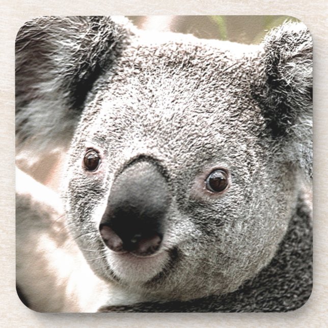 Dessous-de-verre Je m'en occupe (Devant)