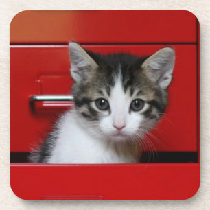 Dessous-de-verre Jeter un coup d'oeil de chaton