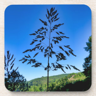 Dessous-de-verre Johnson Grass