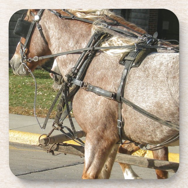Dessous-de-verre Joli cheval (Devant)