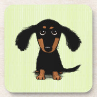 Joli chiot teckel à longs poils