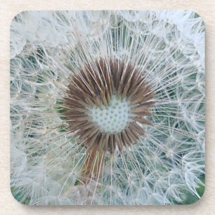 Dessous-de-verre Joli Dandelion blanc