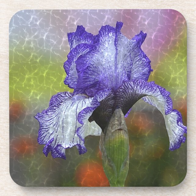 Dessous-de-verre Joli Iris Violet (Devant)
