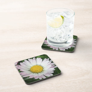 Dessous-de-verre Jolie marguerite