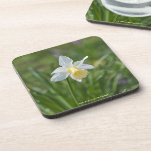 Dessous-de-verre Jonquille
