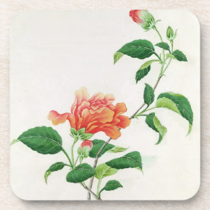 Dessous-de-verre Ketmie