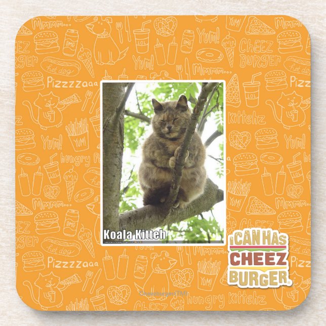 Dessous-de-verre Koala Kitteh (Devant)