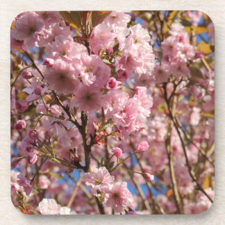 Dessous-de-verre La couleur printanière vive de la floraison de cer