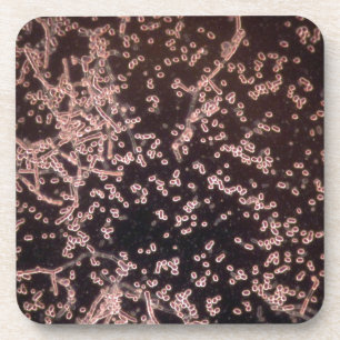 Dessous-de-verre la levure 3D microscopique a mouillé le bâti
