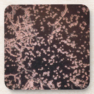 Dessous-de-verre la levure 3D microscopique a mouillé le bâti