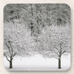 Dessous-de-verre La neige a couvert le paysage