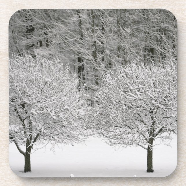 Dessous-de-verre La neige a couvert le paysage (Devant)