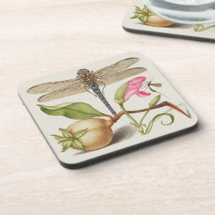 Dessous-de-verre La vie du jardin, Libellule, Poire, Œillet et Inse