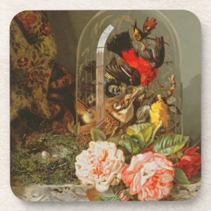 Dessous-de-verre La vie toujours avec l'oiseau de ronflement dans