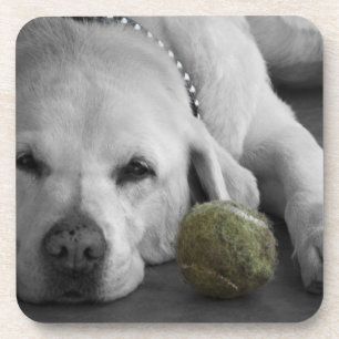 Dessous-de-verre Labrador jaune avec de la vieille balle de tennis