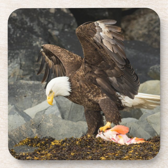 Dessous-de-verre L'aigle chauve ultime (Devant)