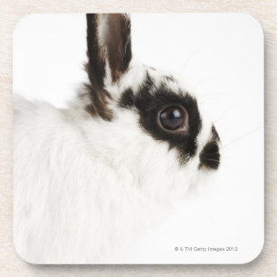 Dessous-de-verre Lapin Wooly du Jersey