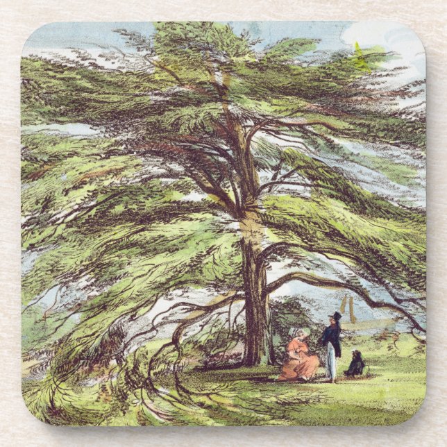 Dessous-de-verre L'arbre de cèdre du Liban dans l'arborétum, Kew (Devant)