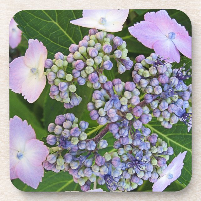Dessous-de-verre Lavande Casquette en dentelle Hydrangea Bloom Dess (Devant)