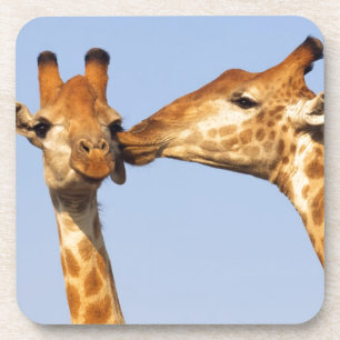 Dessous-de-verre Le baiser