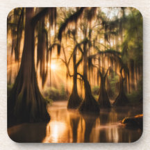 Le Bayou