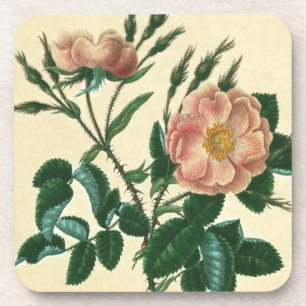 Dessous-de-verre Le Briar doux s'est levé