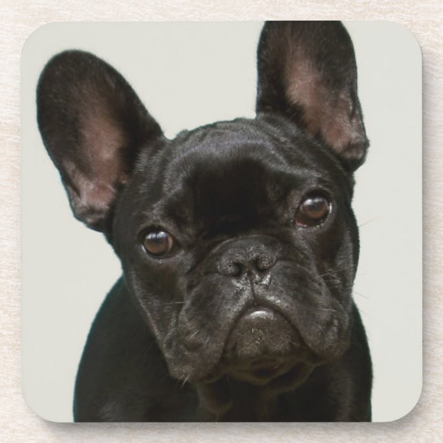 Dessous-de-verre Le chiot le plus mignon de bouledogue français (Devant)