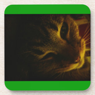 Dessous-de-verre Le gros plan d'Indigo