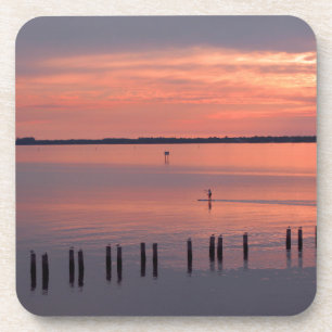 Dessous-de-verre Le pensionnaire nocturne de palette part