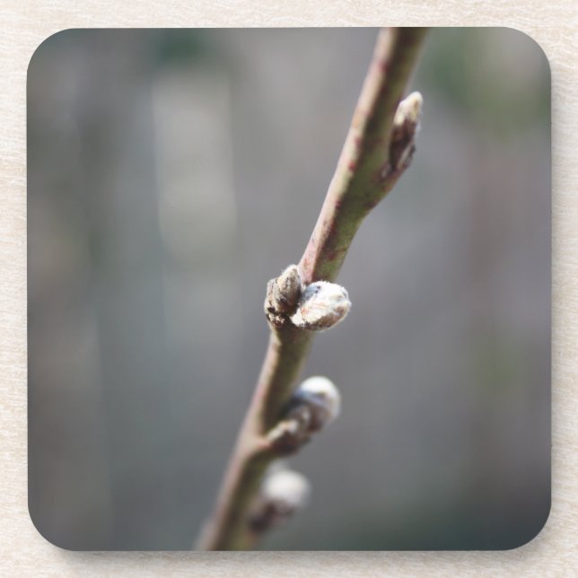 Dessous-de-verre Le printemps arrive (Devant)