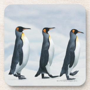 Dessous-de-verre Le Roi pingouins marchant dans le fichier unique
