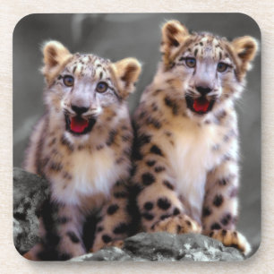 Dessous-de-verre Léopard de neige CUB