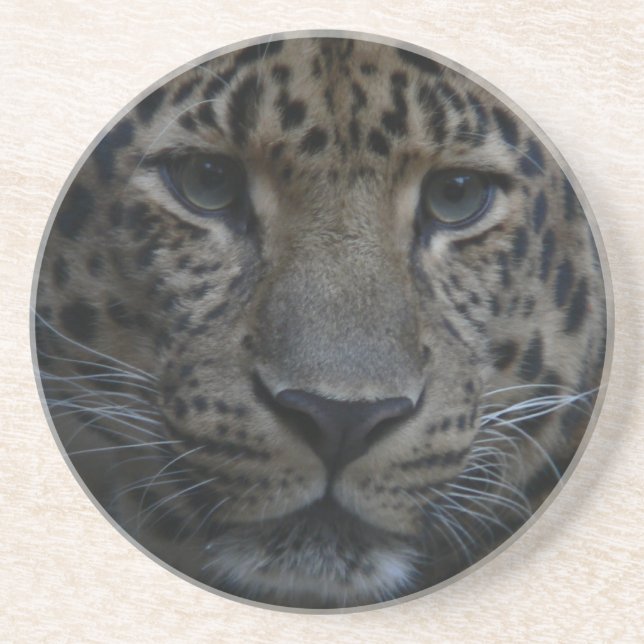 Dessous de verre léopards (Devant)