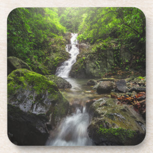 Dessous-de-verre Les cascades Parc national du Mont Phayao