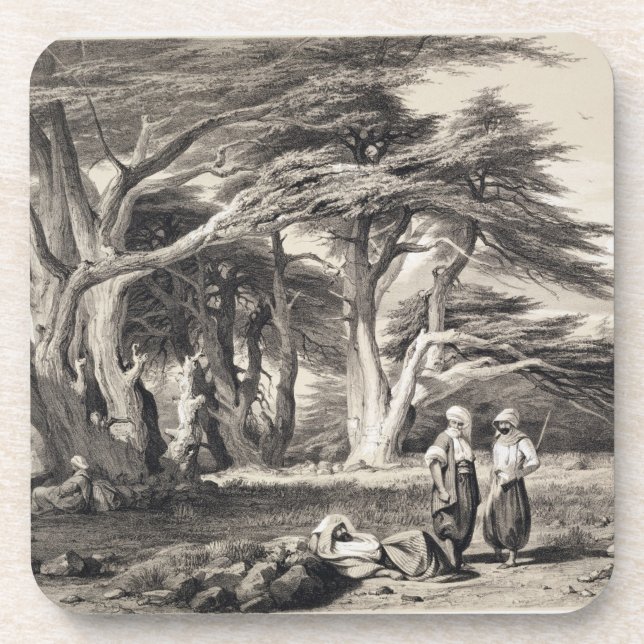 Dessous-de-verre Les cèdres du Liban, gravés par Freeman (sépia (Devant)