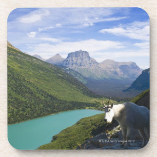 Dessous-de-verre Les Etats-Unis, Montana, parc national de glacier,