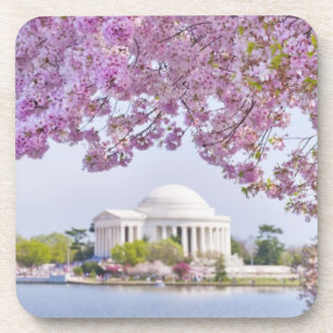 Dessous-de-verre Les Etats-Unis, Washington DC, cerisier en fleur