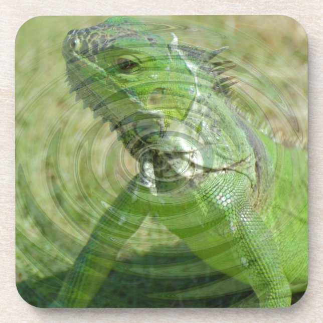 Dessous-de-verre L'Iguana verte (Devant)