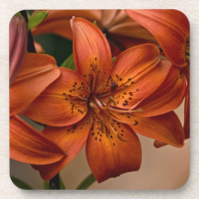 Dessous-de-verre Lily d'Asie (Devant)