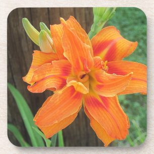 Dessous de verre Lily orange