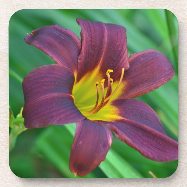 Dessous de verre Lily pourpre (Devant)
