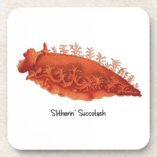 Dessous-de-verre Limace de mer Slitherin' Succotash (6) Plastique