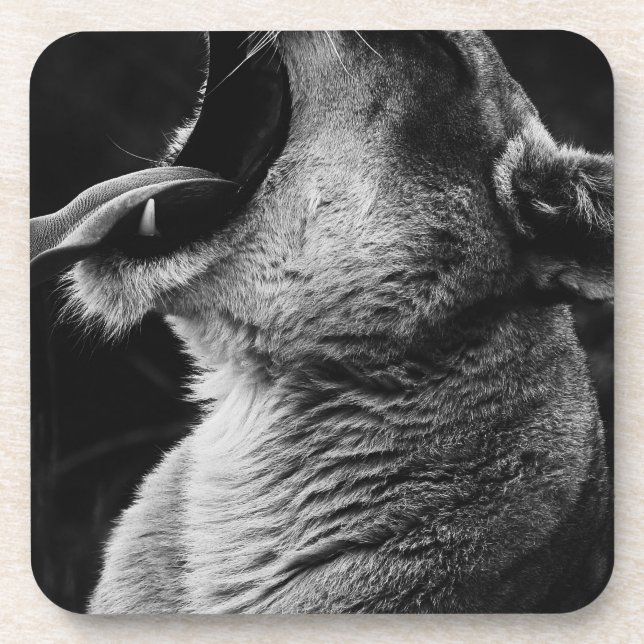 Dessous-de-verre lion (Devant)