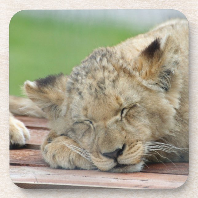 Dessous-de-verre Lion 014 (Devant)