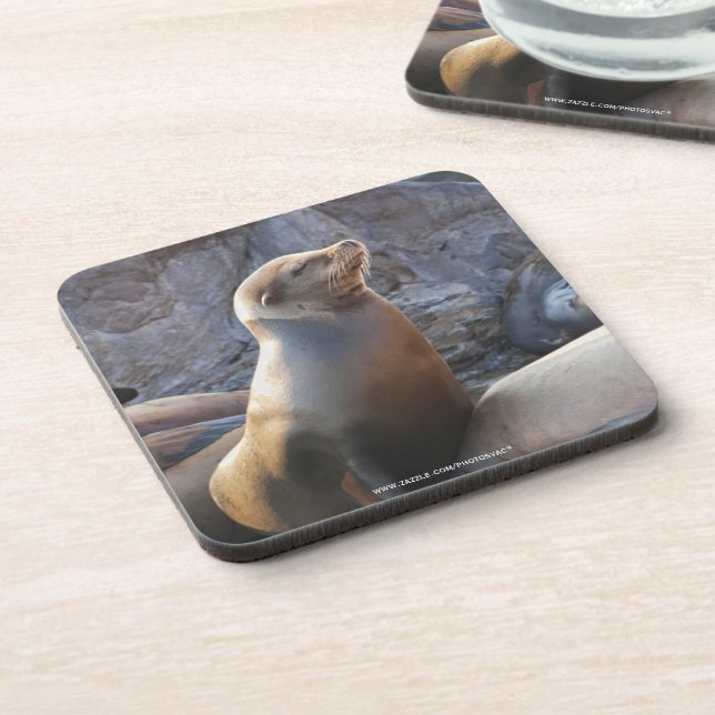 Dessous-de-verre Lion de mer (Côté gauche)