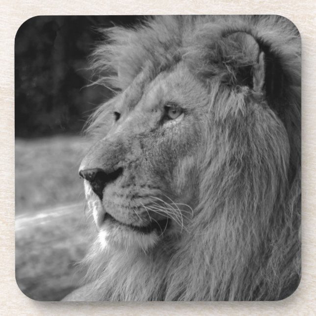Dessous-de-verre Lion noir et blanc - Animal sauvage (Devant)