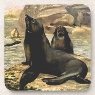 Dessous-de-verre Lions de la mer de Californie vintage par CE Swan