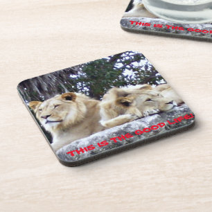 Dessous-de-verre Lions se reposant sur un rocher avec un message de
