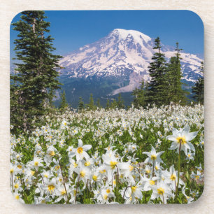 Dessous-de-verre Lis de l'avalanche et Mont Rainier 2