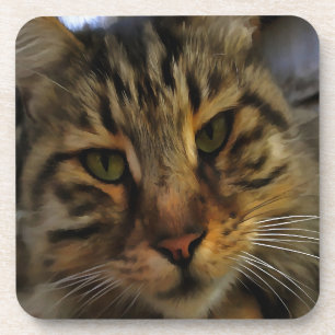 Dessous-de-verre Long Haired Tabby Chat Artistique Portrait d'anima